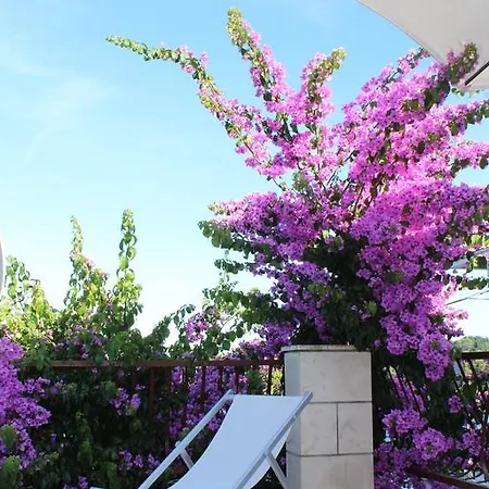 Apartament Petra *