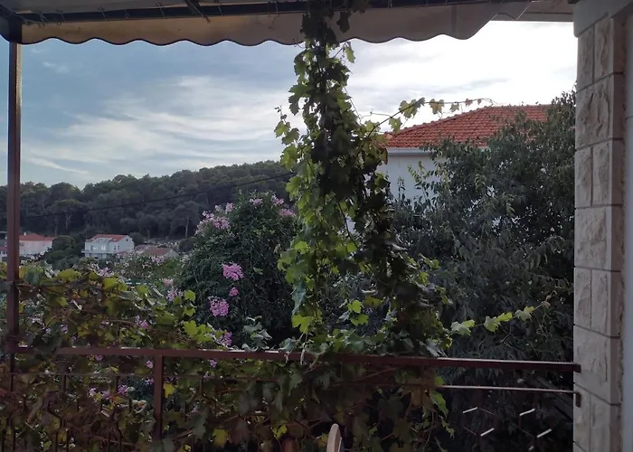 Apartman Petra