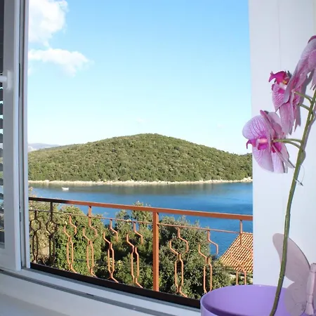 Apartamento Petra *
