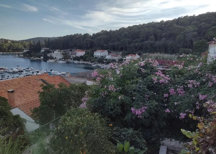 Apartament Petra *